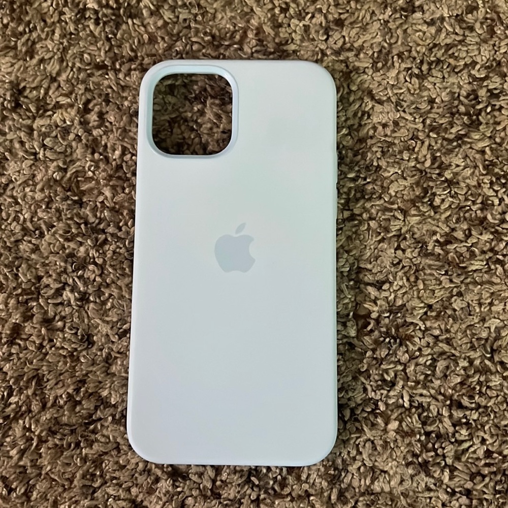 Adorable sky blue newly used Apple case